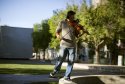 The Mad Fiddler
