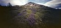 Sugarloaf