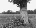 Roadside Cross
