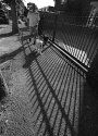 FG+ Tamron 17mm Test 01