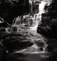 Mike-Cr-Falls-2020-FP4+--
