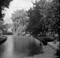 Foma Pan 400 Bourton 01