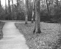 The Pathway-2