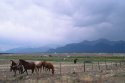 Somewhere between a flat tire and Buena Vista, CO