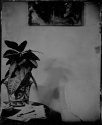 Domesticities 10