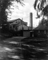Burchard Avenue-1