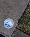 Drains to Creek