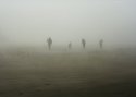 Family In The Fog