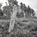 Ogham Stone, Valentia