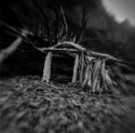 Log Structure 1.