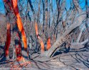 LF2020-AtterTheFire-EagleRock 001-2-3