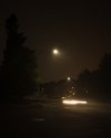 Night Movement