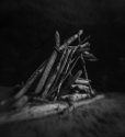 Log Structure 2.