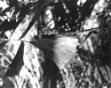 Butterfly House-2