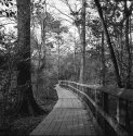 Houston Arboretum and Nature Center
