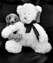 Still-Life 05 : Teddy and Friend