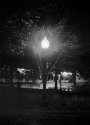 Tree, Lamp, Glen Echo Park, Rain, Night