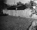 Daytona Beach Cat1 Along the Fence