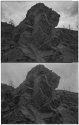 Xray & TMY2 Comparison