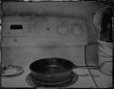 Domesticites #15