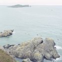 Howth Head | Dublin