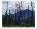 Kootenay Park burn