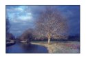 Water Meadows - Winchester