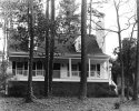 Thistlecone Way-1