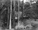 Thistlecone Way-2