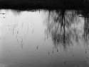 Autumn water reflections - 1