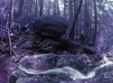 Lomo-Rock--