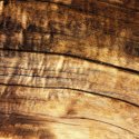 Wood textures - 2