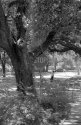 Menil Park