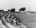 Diversey Harbor Outlet