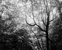 Early autumn / late summer light
