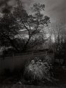 December Nightfall