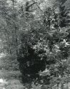 Sonatas VII-3 (Allegretto) The Faerie Dance Sonata