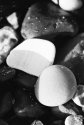 Pebbles on the beach - 1