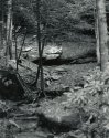Sonatas VII-6 (Dolce Capriccioso) The Faerie Dance Sonata