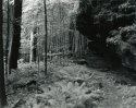 Sonatas VII-11 (Grandioso con Molt'Espressione) The Faerie Dance Sonata
