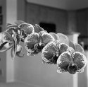 Learning macrophotography