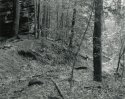Sonatas VII-14 (Grandioso con Molt'Espressione) The Faerie Dance Sonata