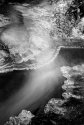 Monochrome in Motion