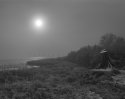 Pitt River Stump