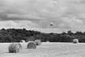 Hay season