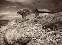 The old boatshed