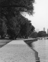Skaters Diversey Harbor