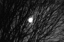 Moonrise