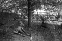 Hot day in the shade 2