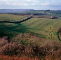 Fields from Colmer Hill